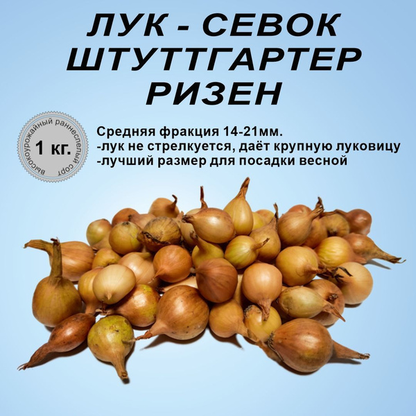 Фракция 14