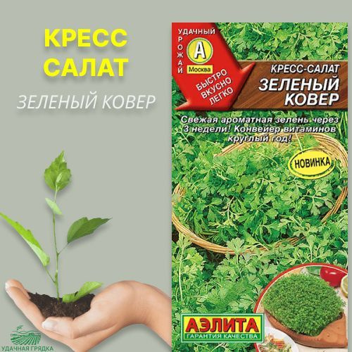 Кресс-салат Аэлита Руккола_1_Индау (руккола) Летняя свежесть - купить ...