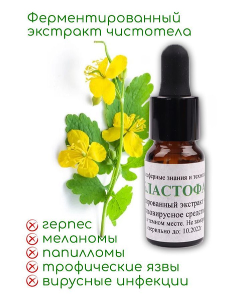 Бластофаг - ферментированный экстракт чистотела против вирусов герпеса ...