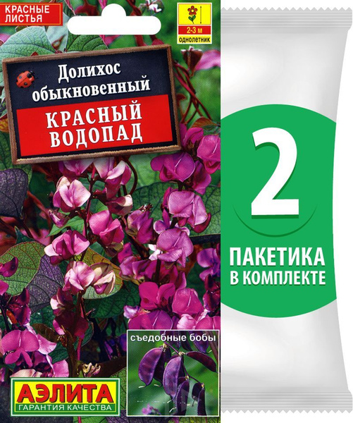 Долихос Аэлита Цветы однолетние - купить по выгодным ценам в интернет ...