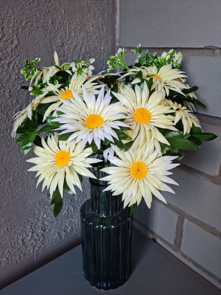 Купить Астра белая по выгодной цене в интернет-магазине OZON.ru (572232691)