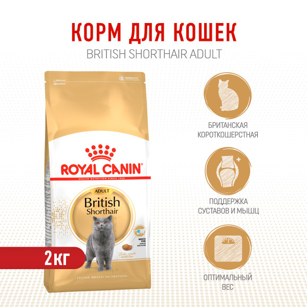 Royal Canin British Shorthair Adult сухой корм для взрослых кошек ...