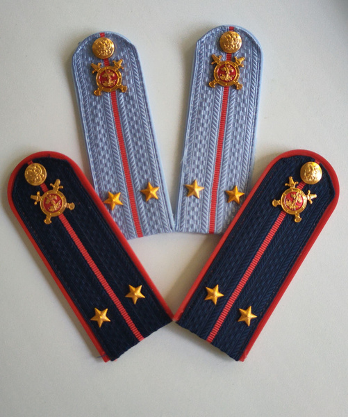 Комплект погон лейтенанта полиции - купить с доставкой по выгодным ...