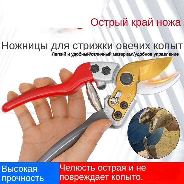 Ножницы для обрезки копыт овец, коз, МРС суперострые TONG (CHINA ...
