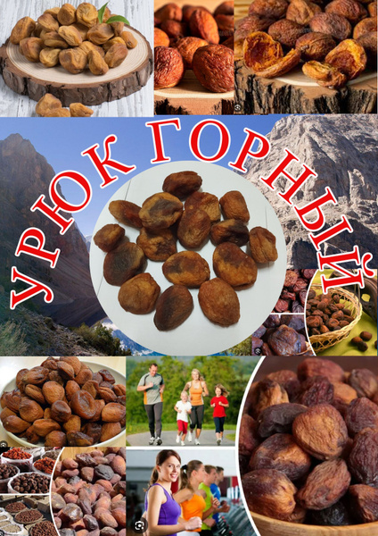 Урюк горный-естественная сушка 1000гр - купить с доставкой по выгодным ...