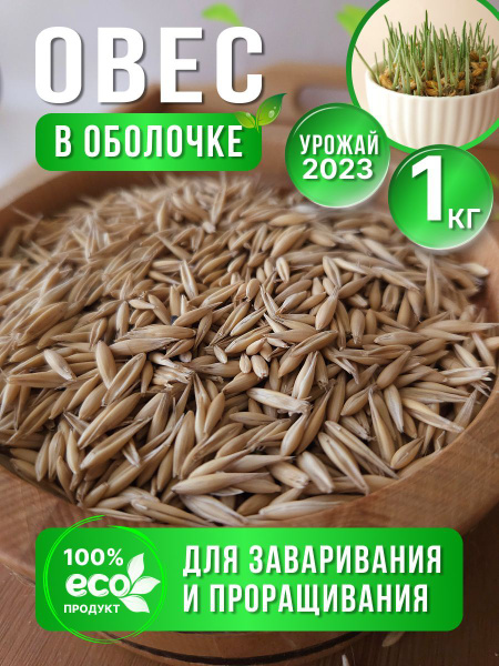 Овес для заваривания и настоя, овес для проращивания - купить с ...