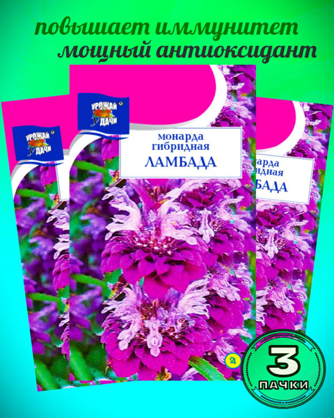 Монарда Урожай удачи Дивный сад_3_гибридная Ламбада - купить по ...
