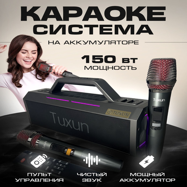 Караоке система с двумя микрофонами Tuxun Royal на аккумуляторе ...