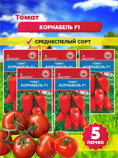 Корнабель Томат Купить