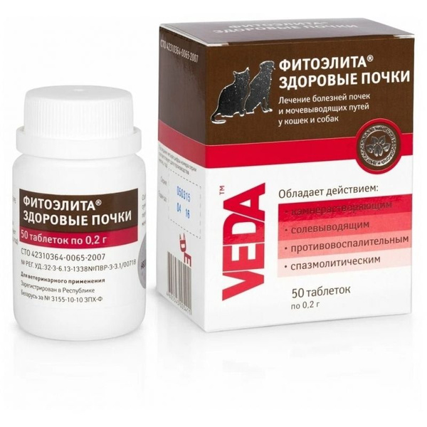 Здоровые почки для кошек