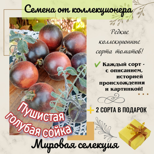 Томаты от коллекционера - купить по выгодным ценам в интернет-магазине ...