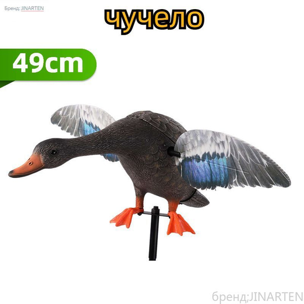 JINARTEN Чучело - купить с доставкой по выгодным ценам в интернет ...