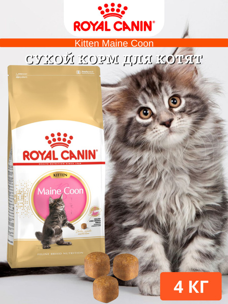 Сухой корм для котят Royal Canin Kitten Maine Coon 4кг купить на OZON ...