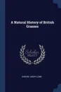 A Natural History of British Grasses - Edward Joseph Lowe