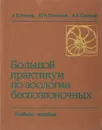 Большой практикум по зоологии беспозвоночных - Иванов А.В., Полянский Ю.И., Стрелков А.А.