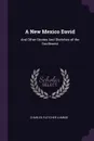 A New Mexico David. And Other Stories And Sketches of the Southwest - Charles Fletcher Lummis
