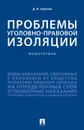 Проблемы уголовно-правовой изоляции - Сергеев Данил Назипович