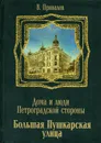 Большая Пушкарская улица - Привалов В. 