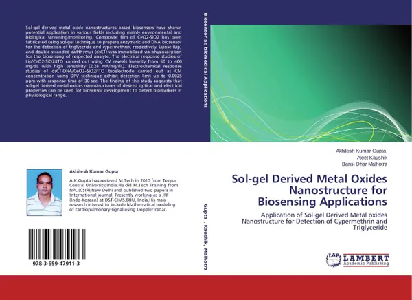 Обложка книги Sol-gel Derived Metal Oxides Nanostructure for Biosensing Applications, Akhilesh Kumar Gupta,Ajeet Kaushik and Bansi Dhar Malhotra