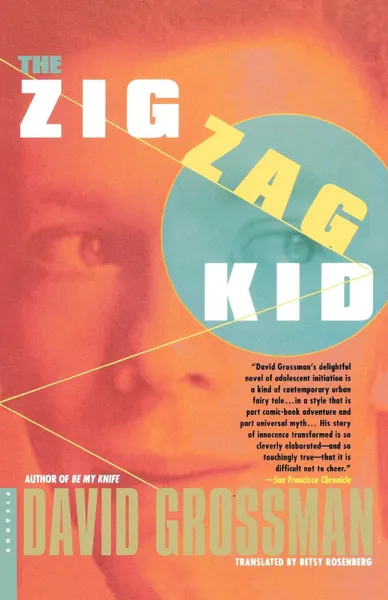 Обложка книги The Zigzag Kid, David Grossman