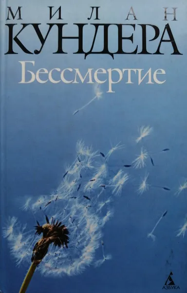 Обложка книги Бессмертие, Милан Кундера