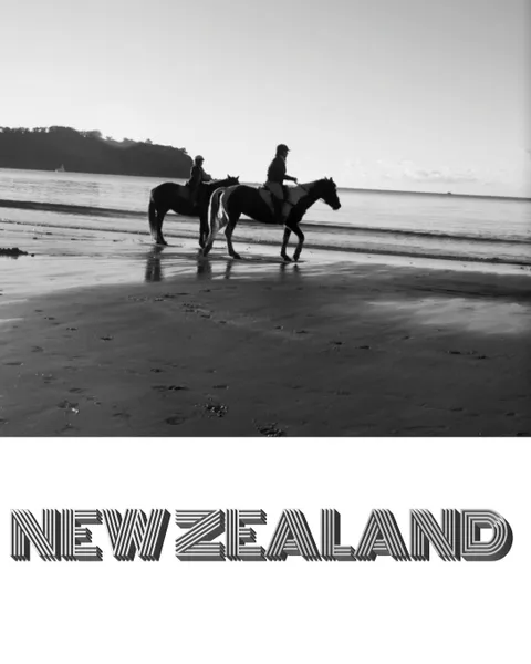 Обложка книги New Zealand Drawing Journal, Michael Huhn, $ir Michael Huhn