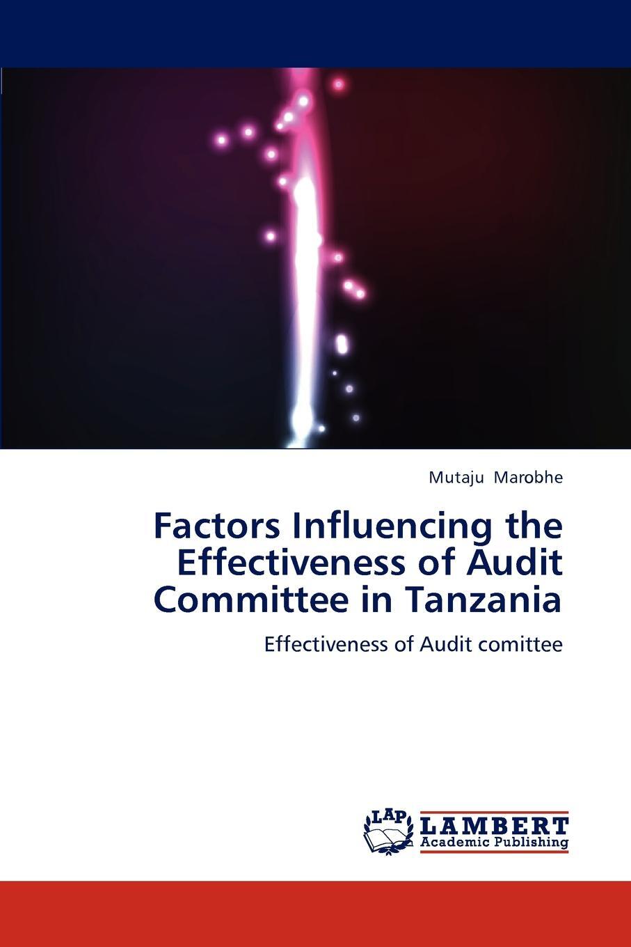 фото Factors Influencing the Effectiveness of Audit Committee in Tanzania