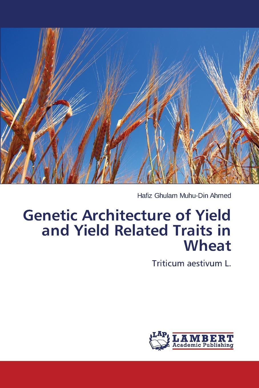 фото Genetic Architecture of Yield and Yield Related Traits in Wheat