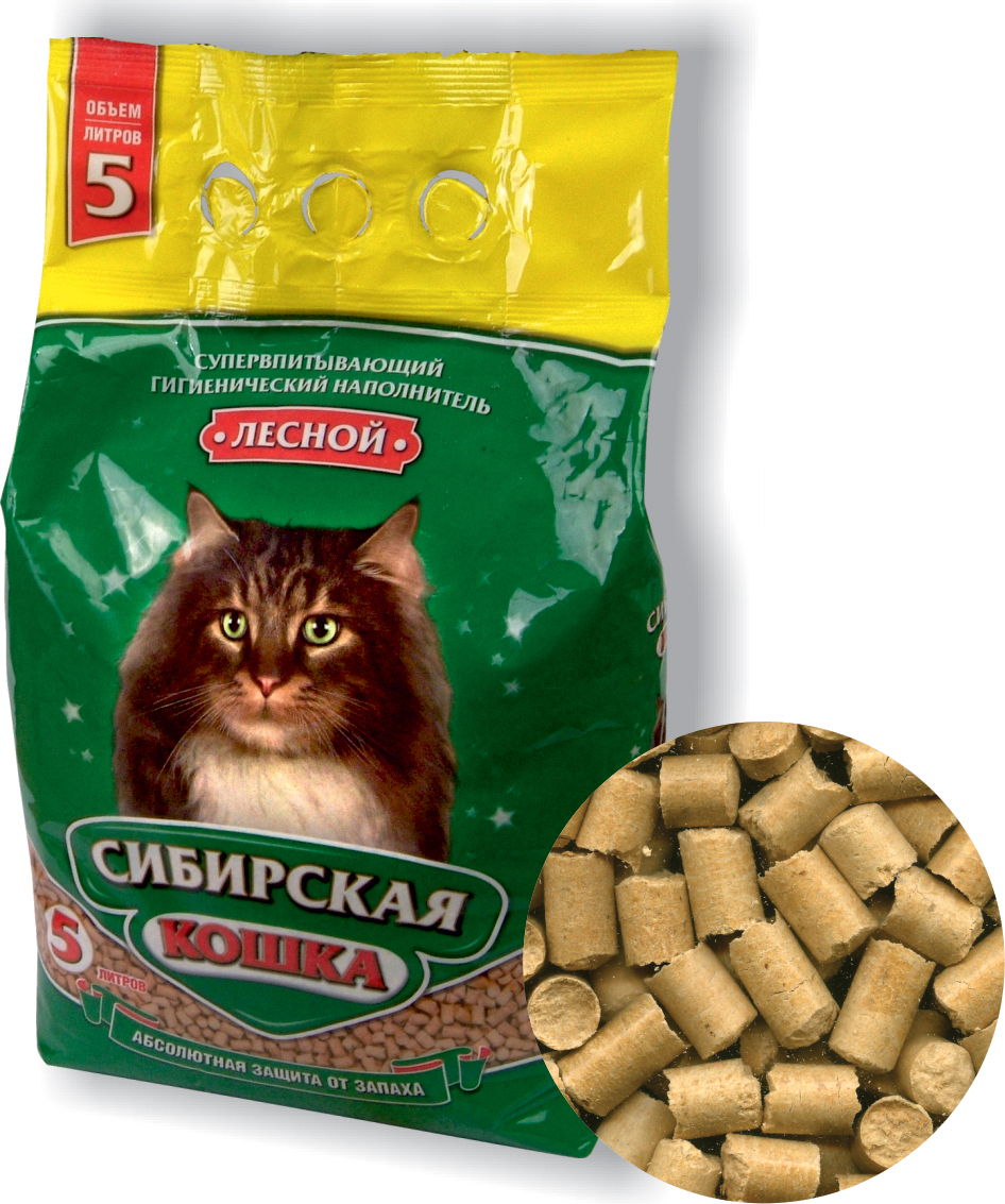 Сибирская кошка купить