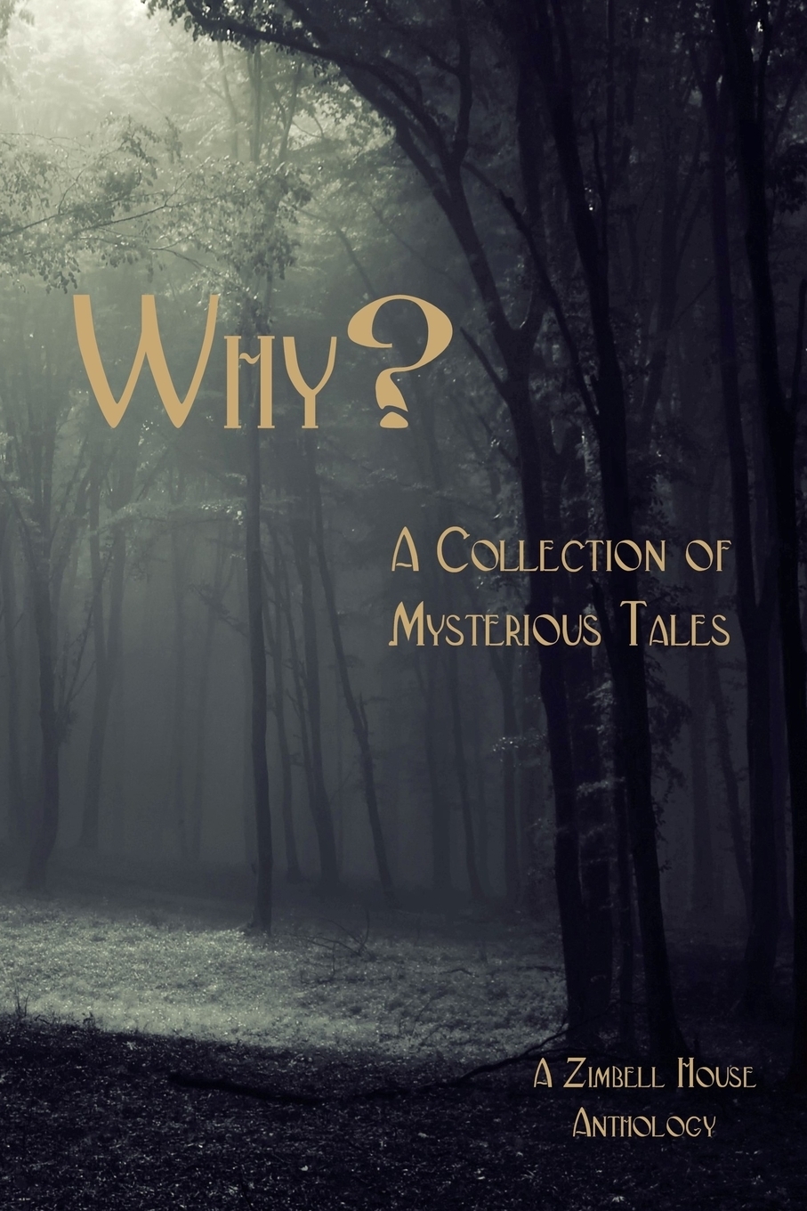 фото Why?. A Collection of Mysterious Tales: A Zimbell House Anthology