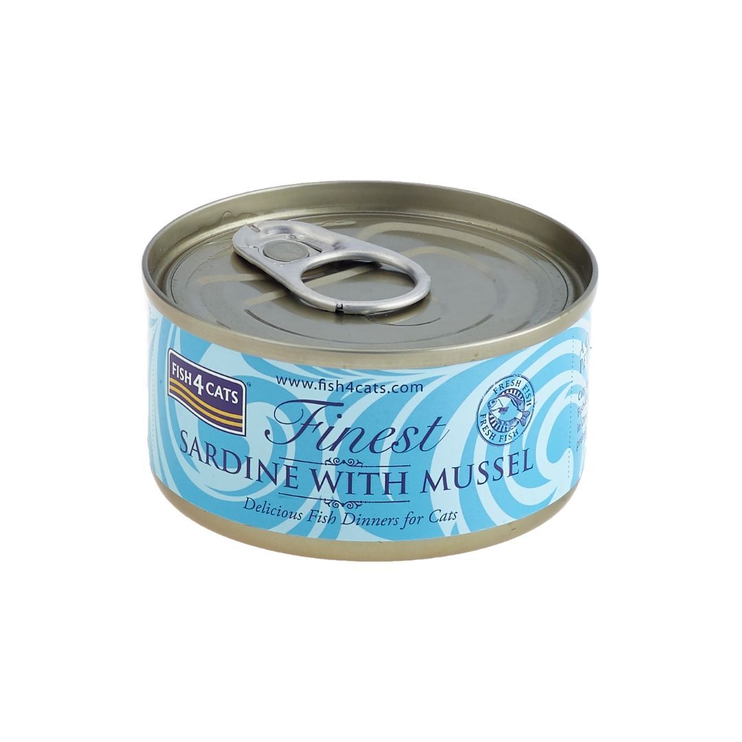 Fish cat 4. Tuna fillet консервы. Анчоусы тунец филе. Кэт рыба. Фиш Кэт интернет магазин.