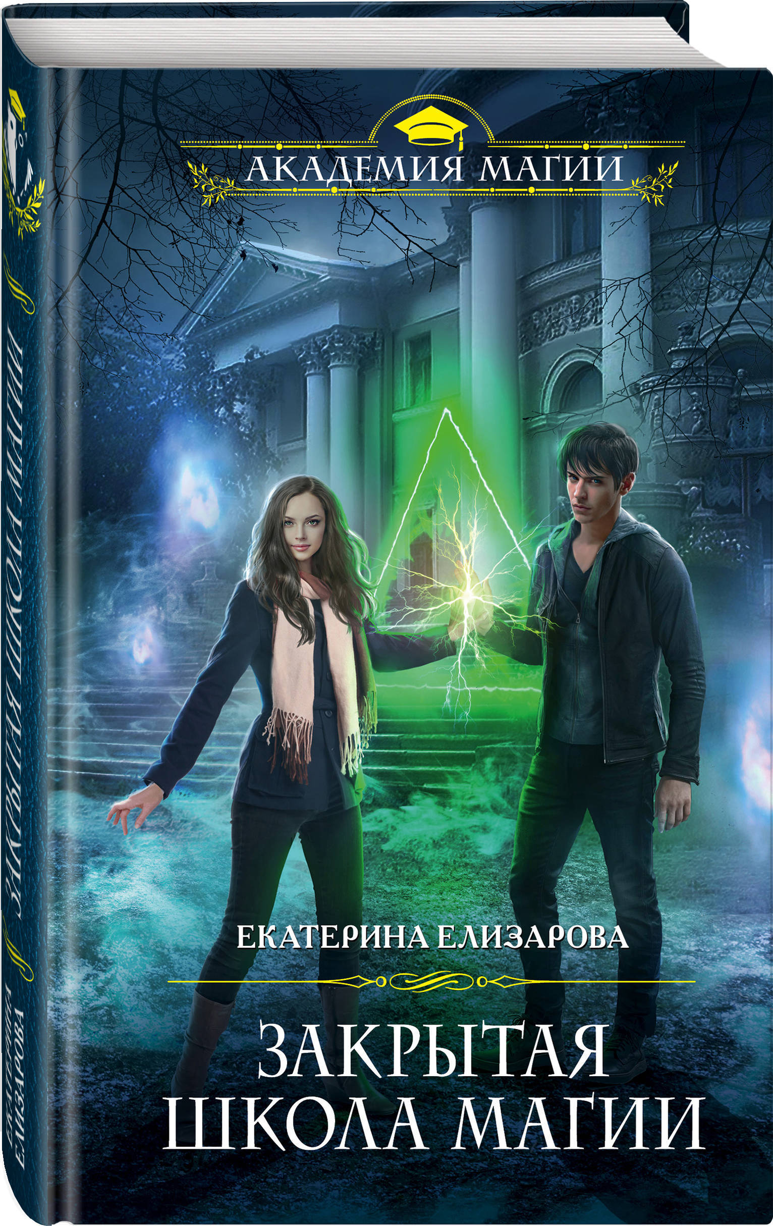 академия книга. академия магии мартюшова регина юрьевна. читать книгу школа магии. факультет боевых магов. книги серии магическая академия.
