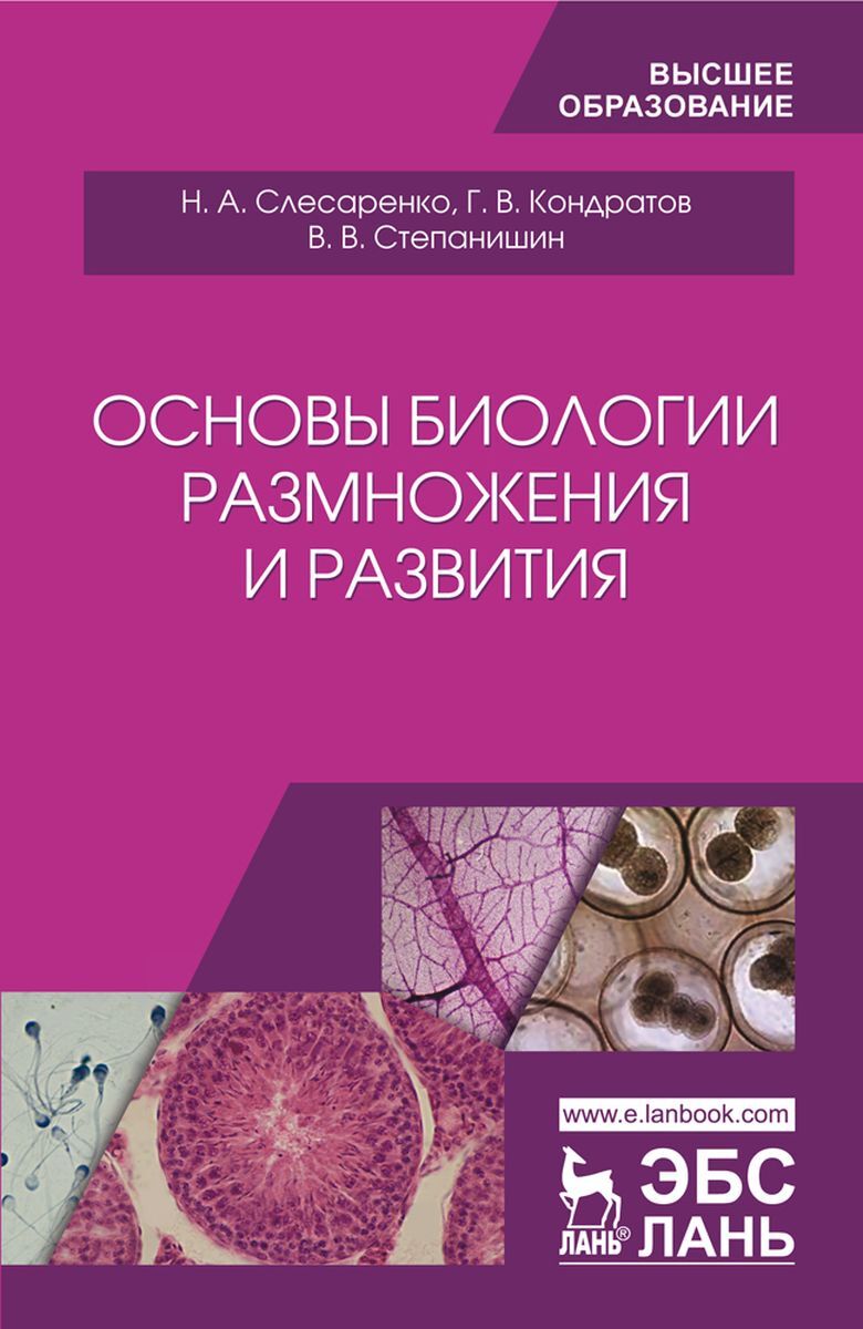 биологической основой развития. биологической основой развития. способности это. биологической основой развития. биологические факторы развития ребенка.
