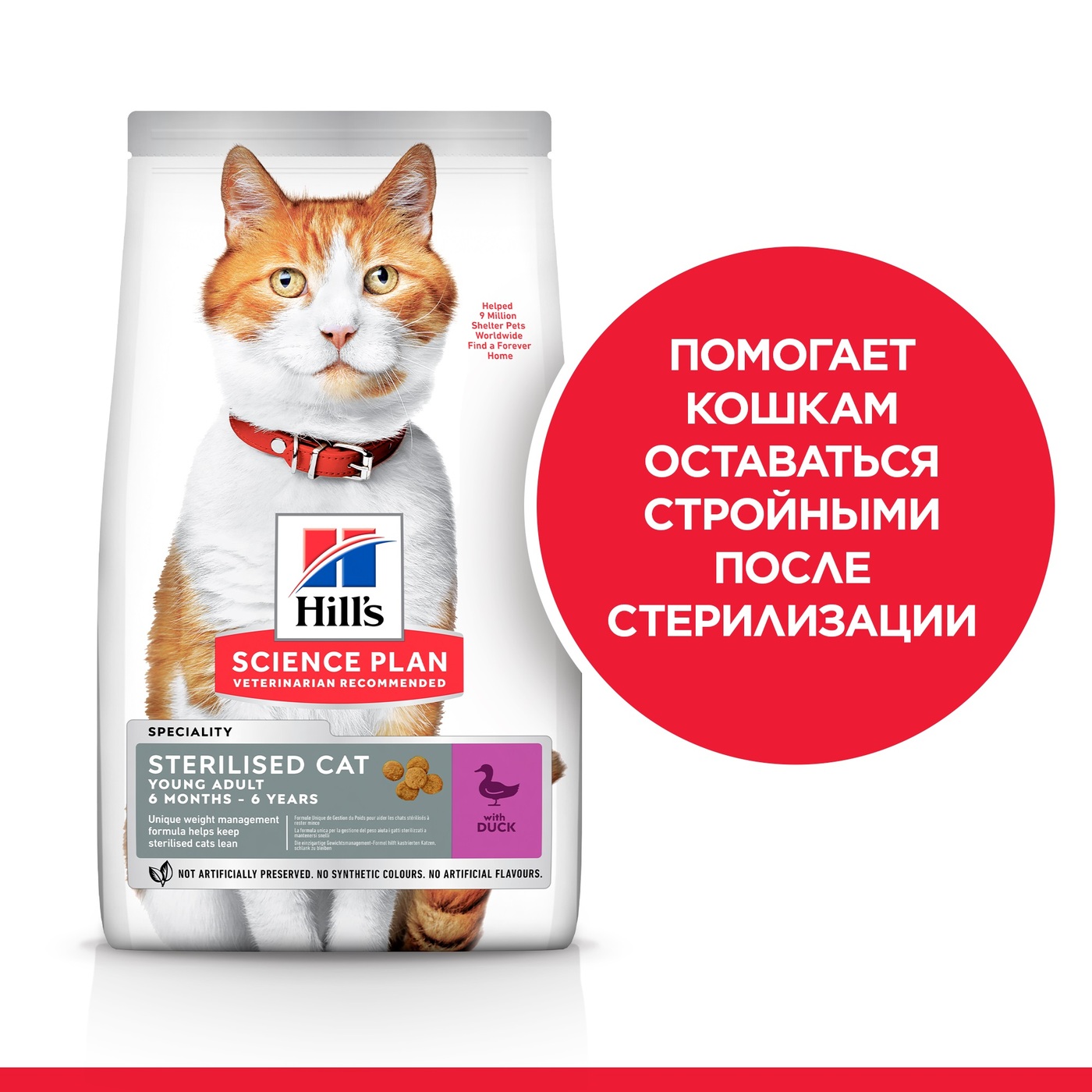 Хиллс корм для кошек