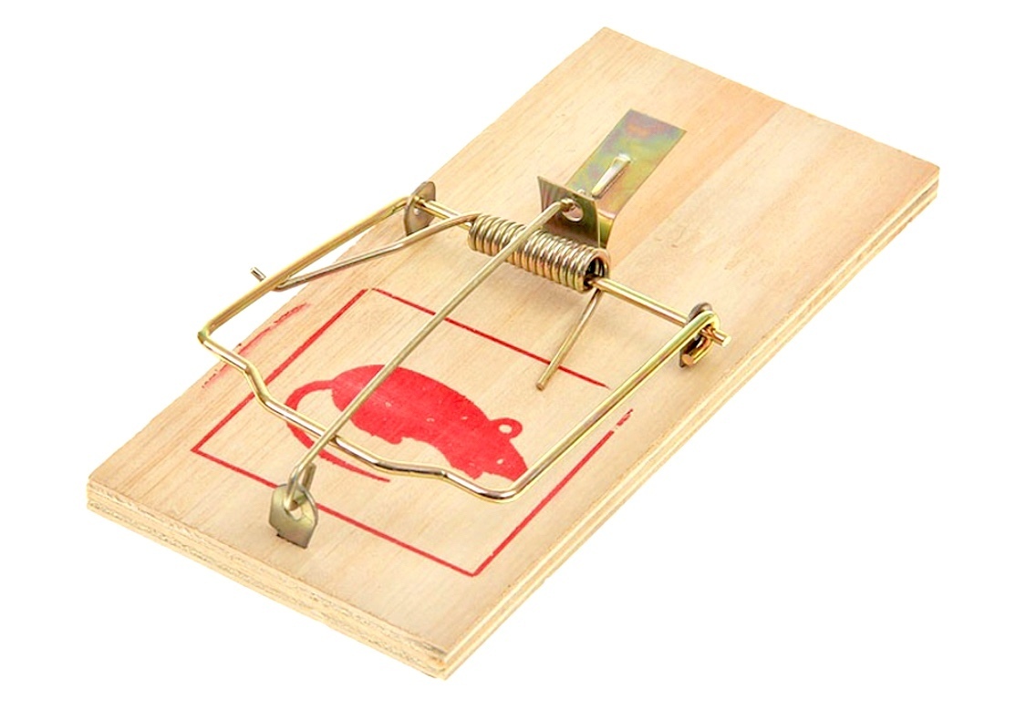 Пружинная крысоловка. Крысоловка stayer 40501-l standard. Мышеловка сибртех 94123. Mouse3 деревянная мышеловка 10х4. Мышеловка.