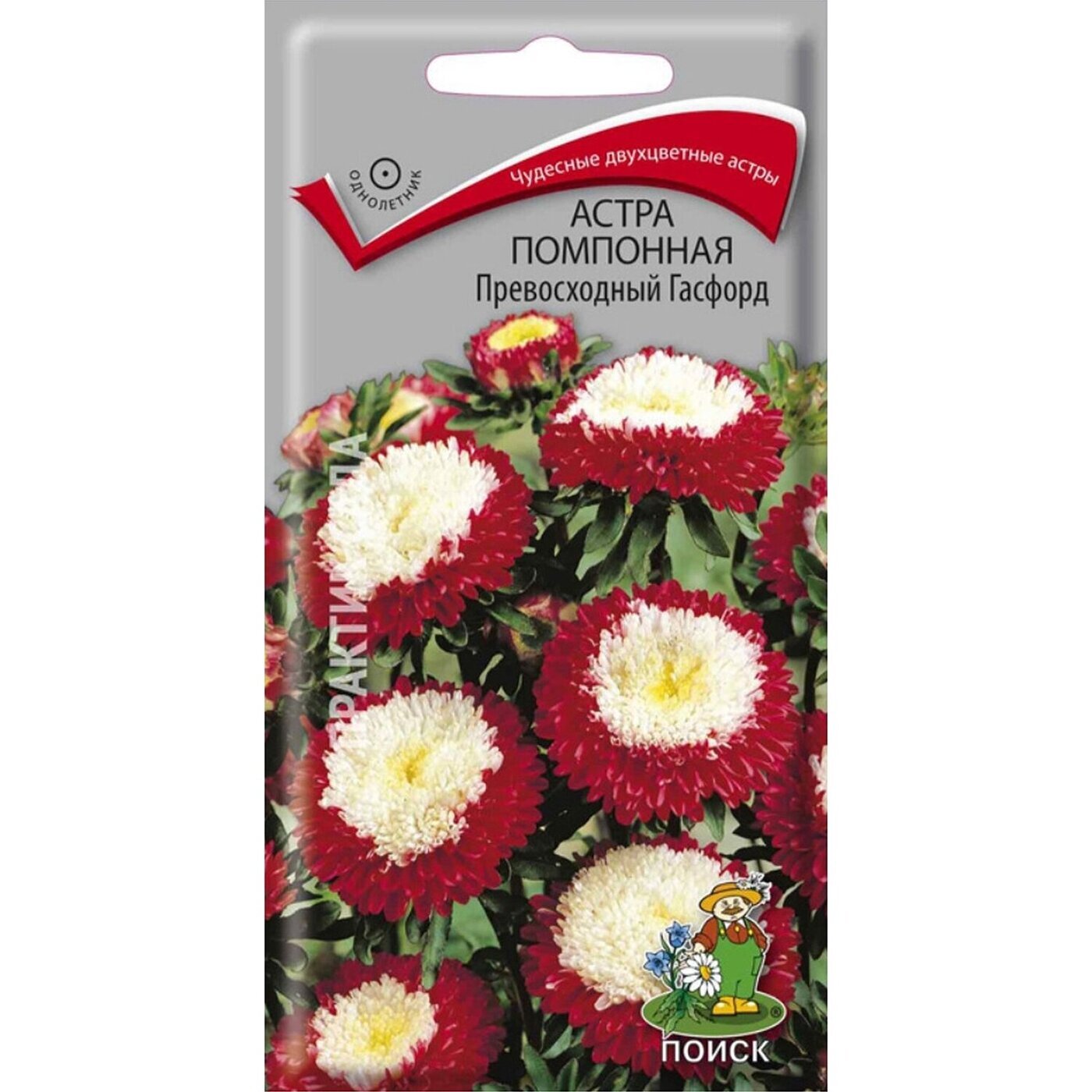 Семена Астры Купить В Интернет Магазине