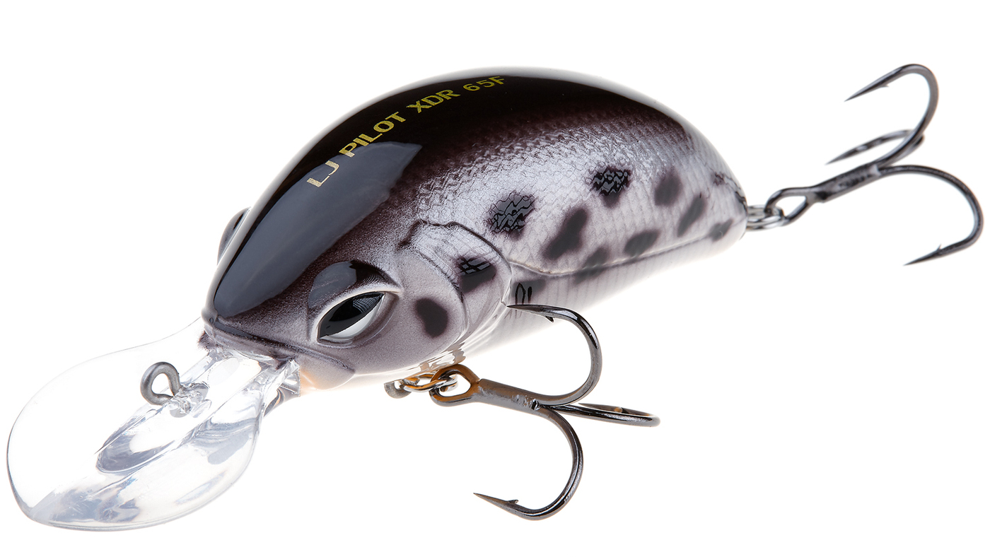 Rapala original floater f13-sd. воблер rapala countdown cd07. 50/a001 ljo1006f-a001. Bigbacker fit minnow. Lj original pop-x f 06.