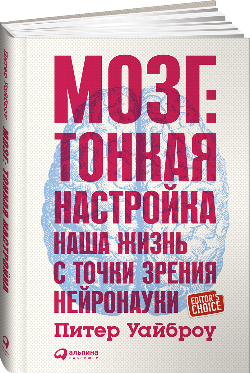 Мозг. Тонкая настройка. Наша жизнь с точки зрения нейронауки | Уайброу  Питер - купить с доставкой по выгодным ценам в интернет-магазине OZON  (252485304)