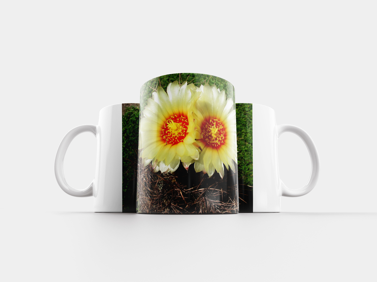 Кружка с растениями. Кружка plants. Кружка растения. Кружка plants. Растения в кружке.