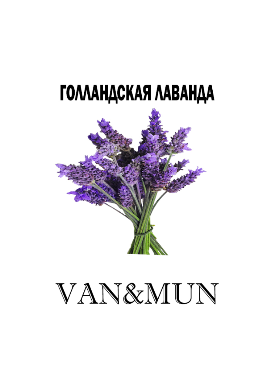 Van mun. Van&mun спрей голландская Лаванда 50 мл.