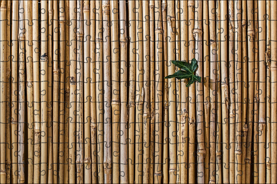 Bambu a1 mini. Bamboo "Bamboo (LP)". Бамбуковые обои. Бамбуковая стена. Бамбуковые палочки для декора