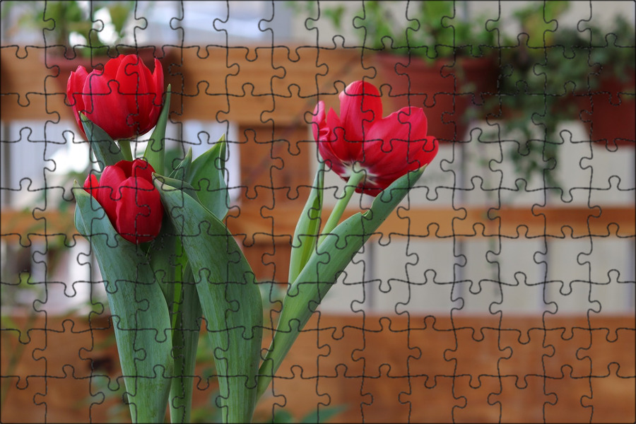 тюльпаны фото. красные тюльпаны в вазе. букет тюльпанов светло розовые. тюльпаны (мини). искусственные тюльпаны в вазе.