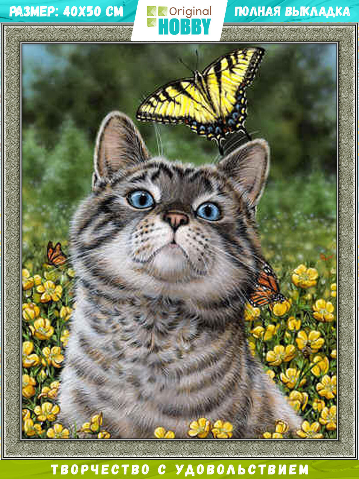 Кошка с бабочками