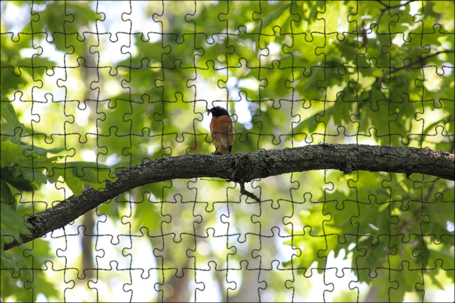 Vogel baum кухни