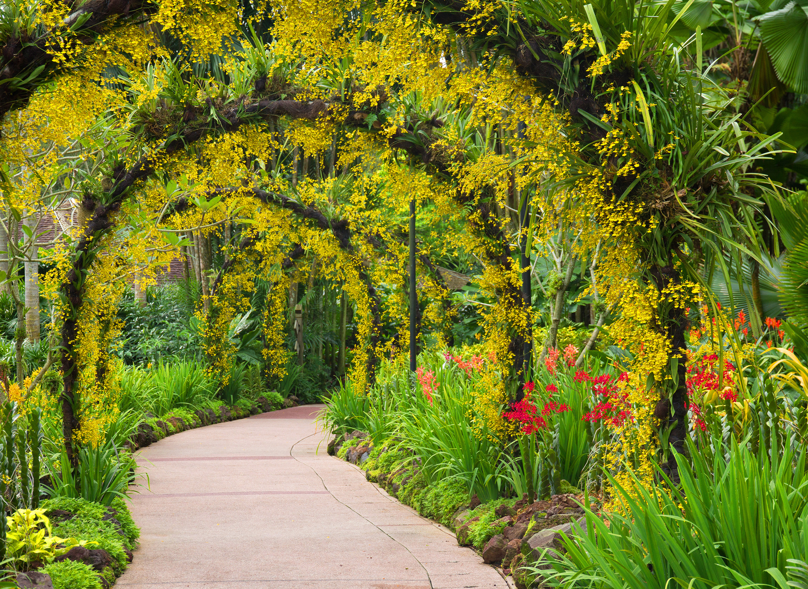 Саду войти. Botanical Garden арка. Ботанический сад Кисловодск. Красивый вход в Ботанический сад. Оформление входа в Ботанический сад.