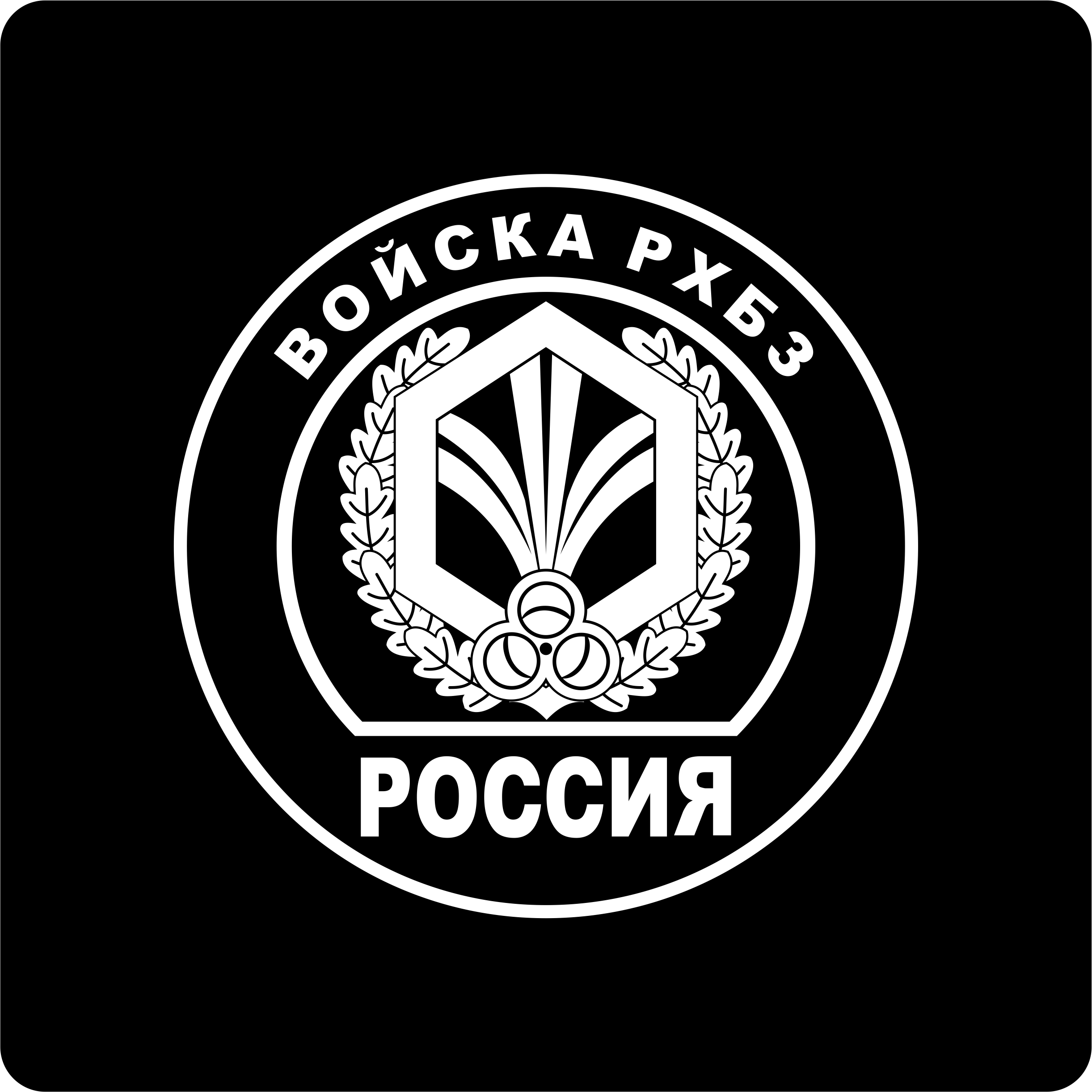 РХБЗ войска