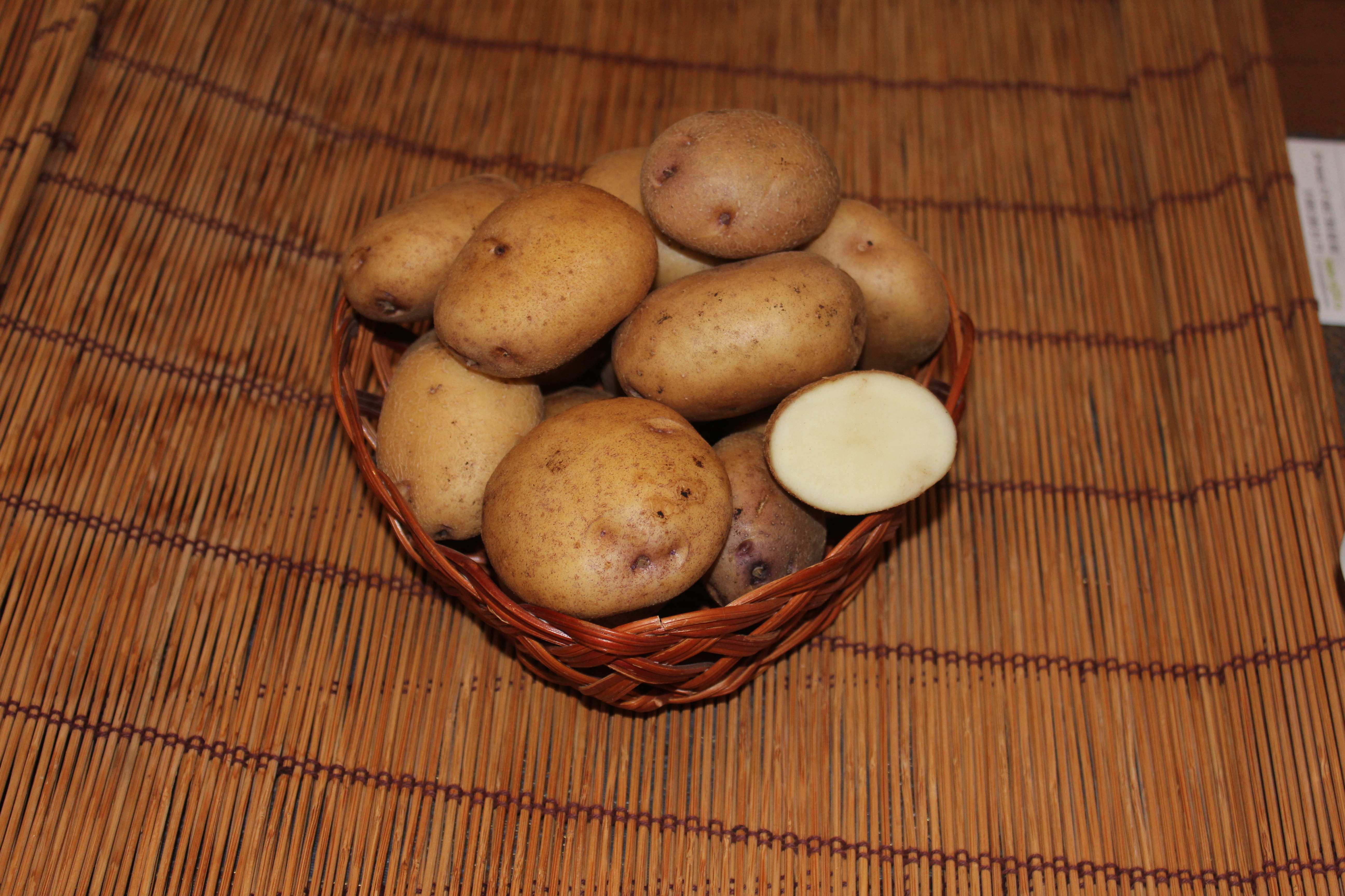 Картофель синеглазка отзывы. Картофель семенной Синеглазка. Сорт картофеля Синеглазка. Сорт картошки Синеглазка. Семена картофеля Синеглазка.