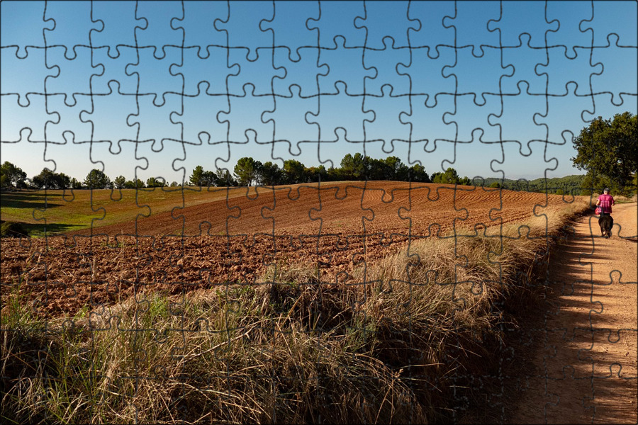 Раскаленное поле puzzle chaos