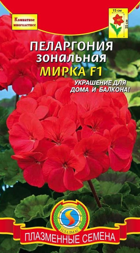 Пеларгония семена магазин. Пеларгония зональная Мирка. Пеларгония зональная Мирка f1. Пеларгония зональная Грин Мирка f1. Пеларгония зональная Алена f1.