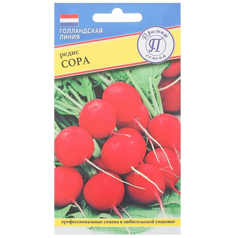 Где Купить Семена Редиса